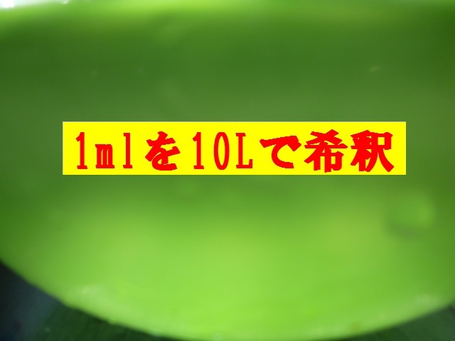 送料無料★韓国製の原液や粉末とは効果が全く違います★めだか針子稚魚みじんこに★生クロレラ原液80mlパウチ容器発送_画像4