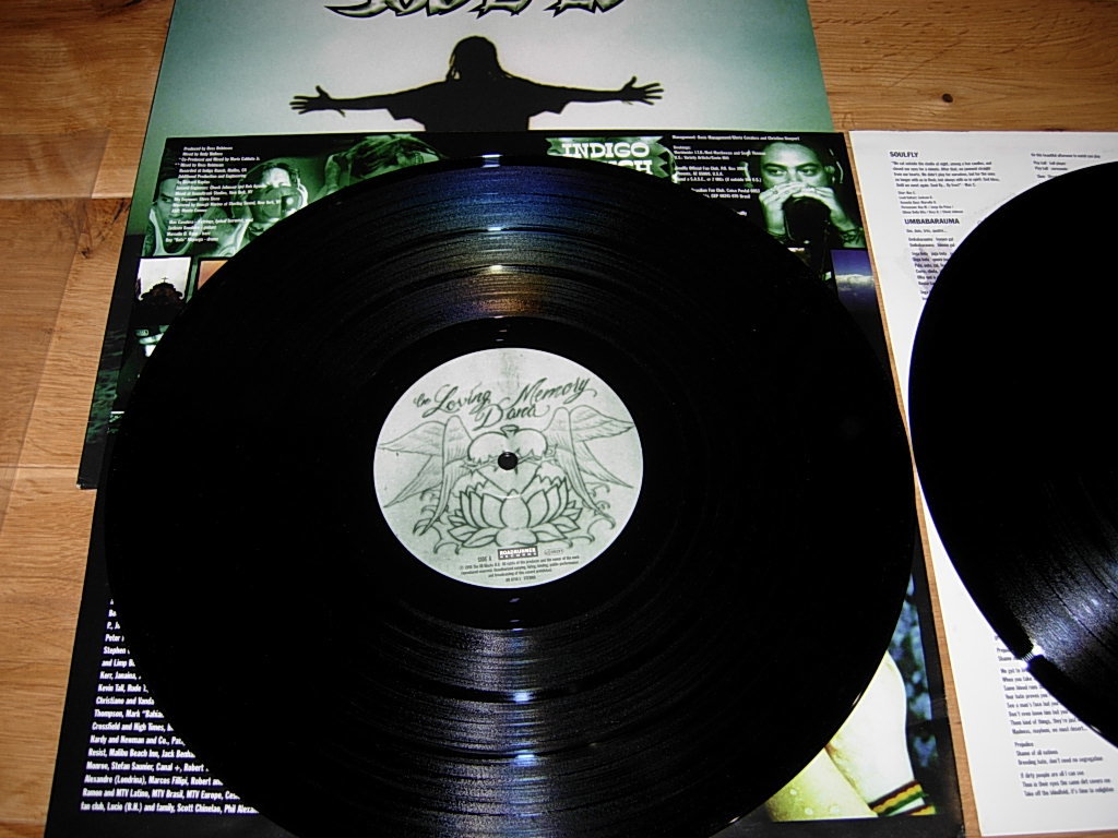 SOULFLY Analog Vinyl LP レコード 5