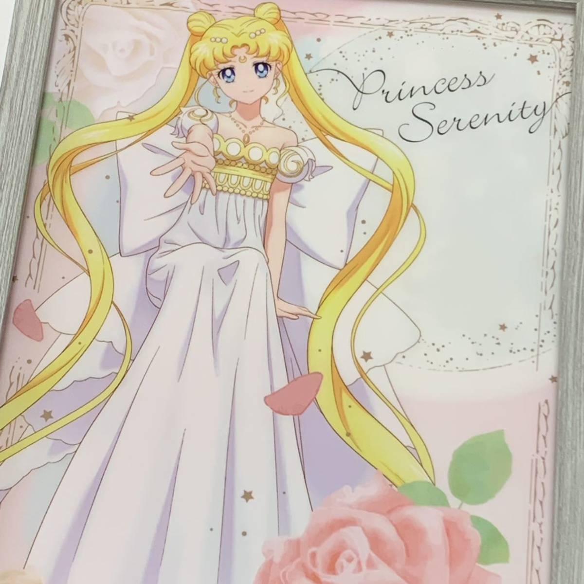 美少女戦士セーラームーン クリアファイル 額装品 竹内直子 検 原画 ポスター Sailor Moon プリンセスセレニティ 月野うさぎ B セーラームーン 売買されたオークション情報 Yahooの商品情報をアーカイブ公開 オークファン Aucfan Com