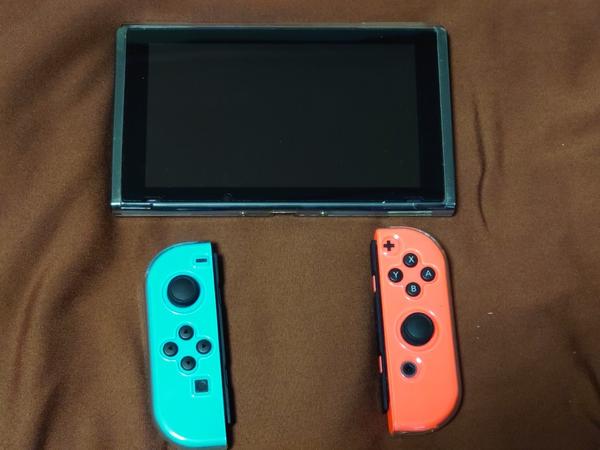 Nintendo Switch ニンテンドースイッチ ニンテンドースイッチ本体 Switch本体 カバー付き