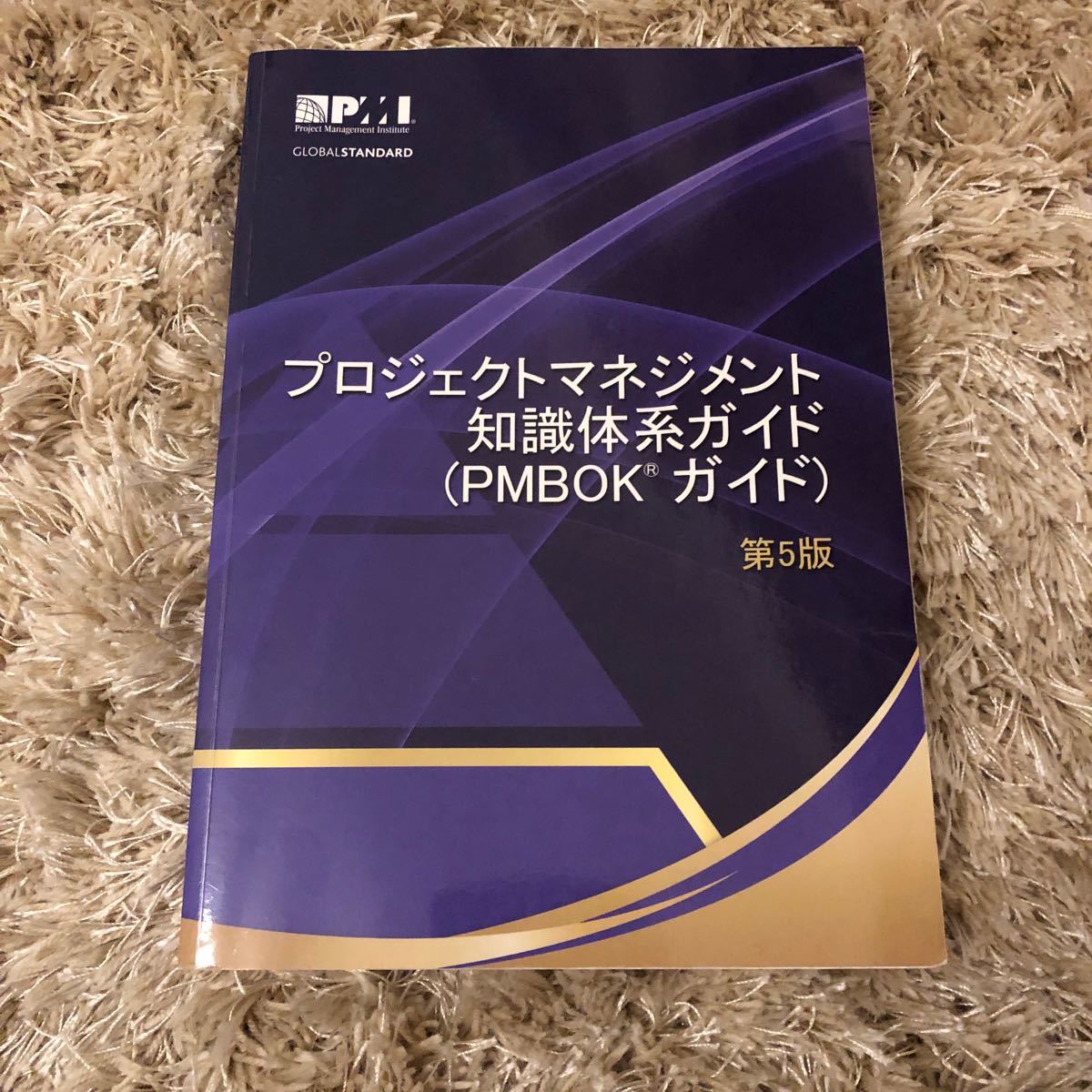 PMP プロジェクトマネジメント知識体系ガイド(PMBOKガイド)第6版 国内