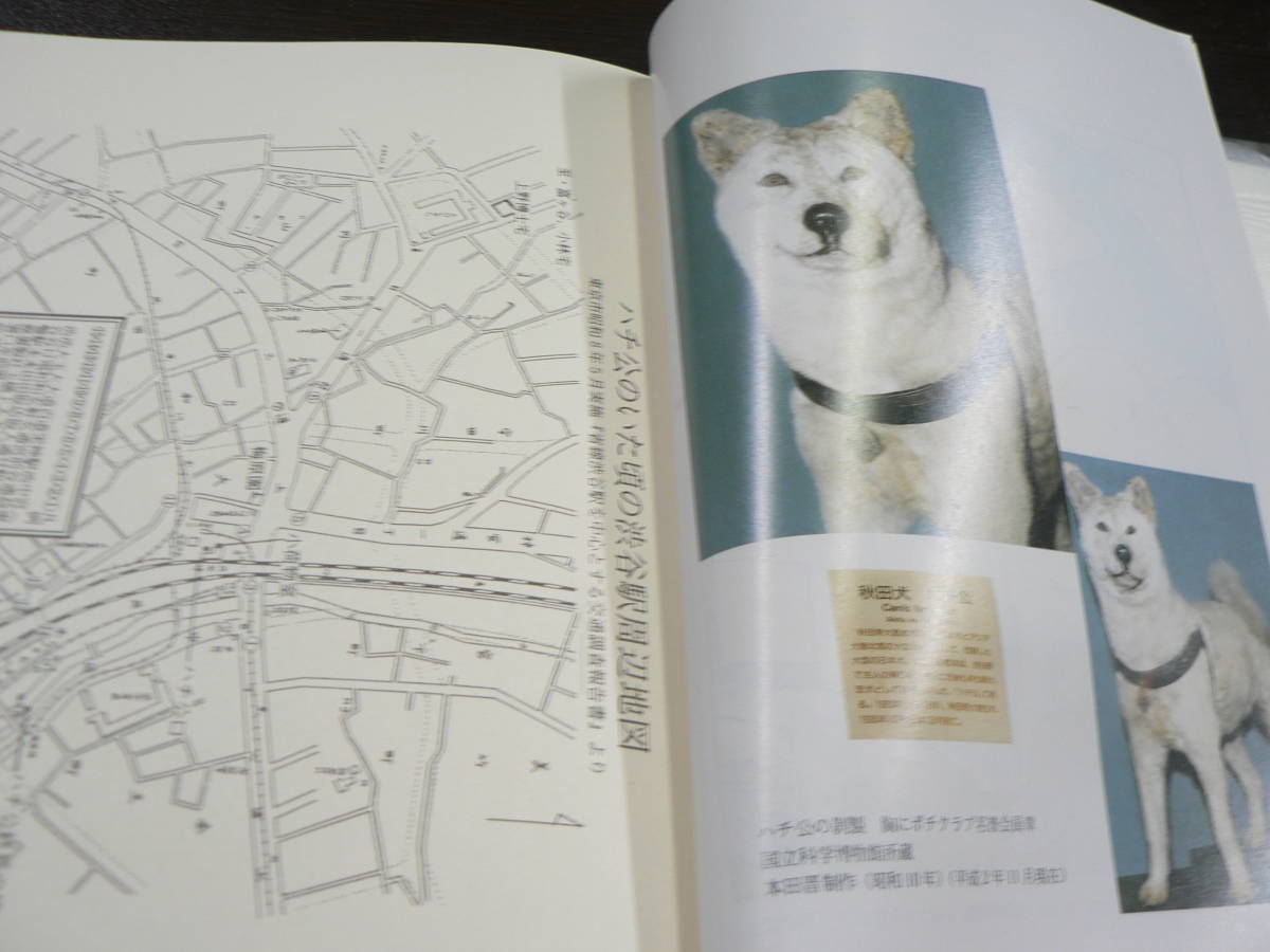 ハチ公文献集/林正春 1991年 秋田県 秋田犬 忠犬ハチ公 渋谷駅 ハチ公文献集/林正春 1991年 秋田県 秋田犬 忠犬ハチ公 渋谷駅