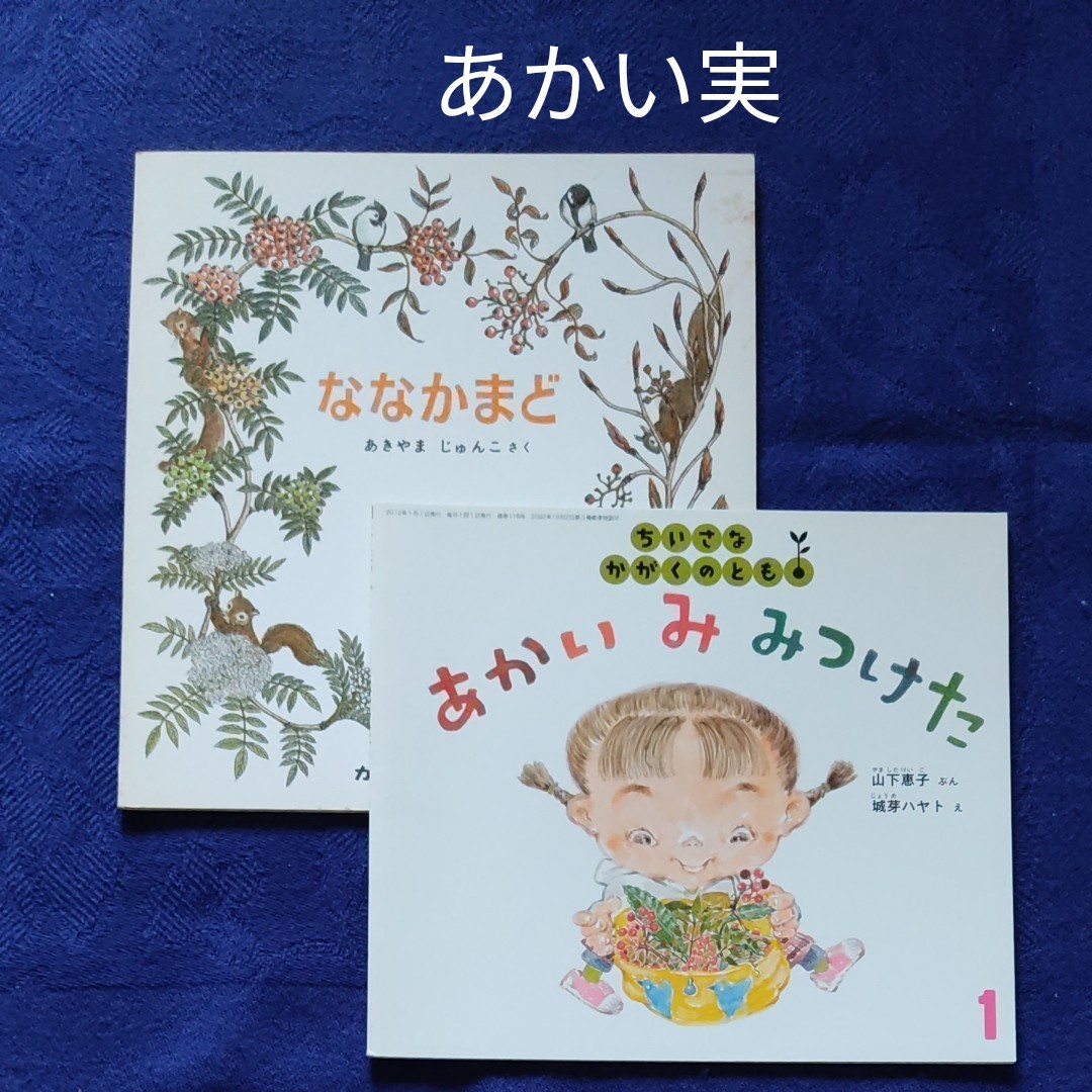 かがくのとも ちいさなかがくのとも ななかまど あかいみみつけた 福音館