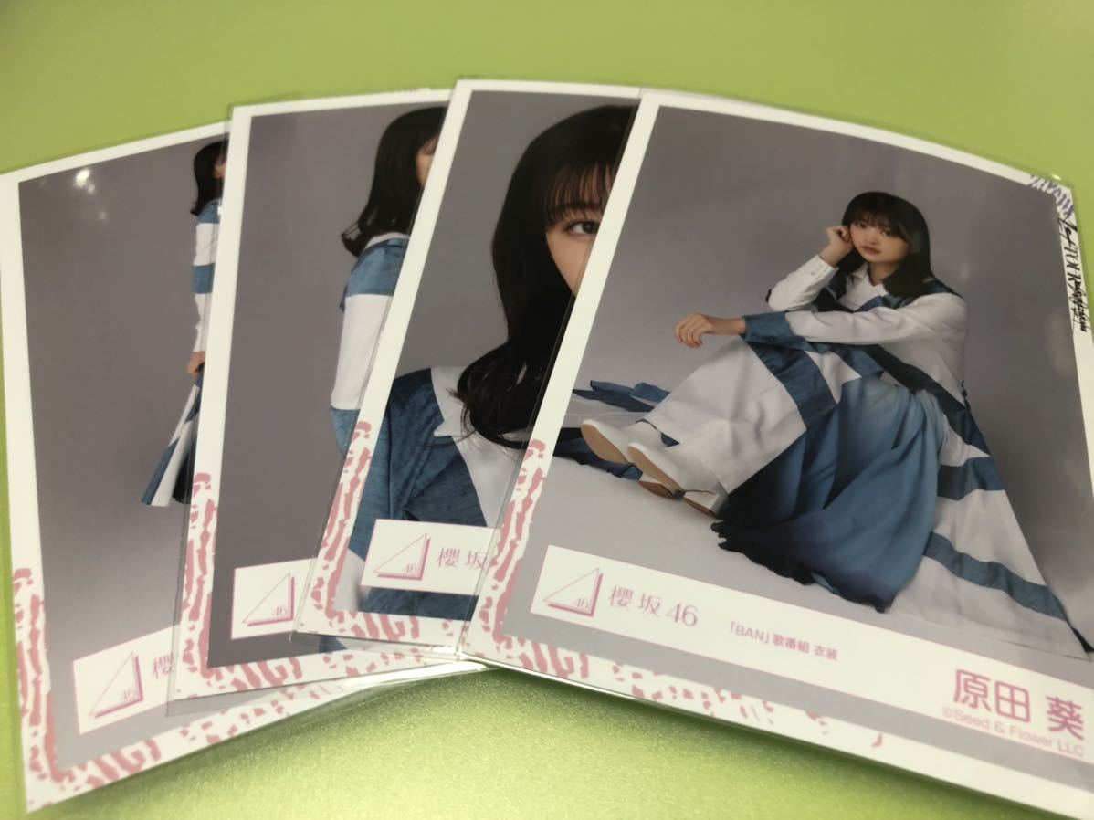 櫻坂46 原田葵 BAN 歌番組衣装 生写真 4種コンプ 4枚 五月雨よ 日向坂46 CD 封入 MV(まとめ セット売り 可_画像1