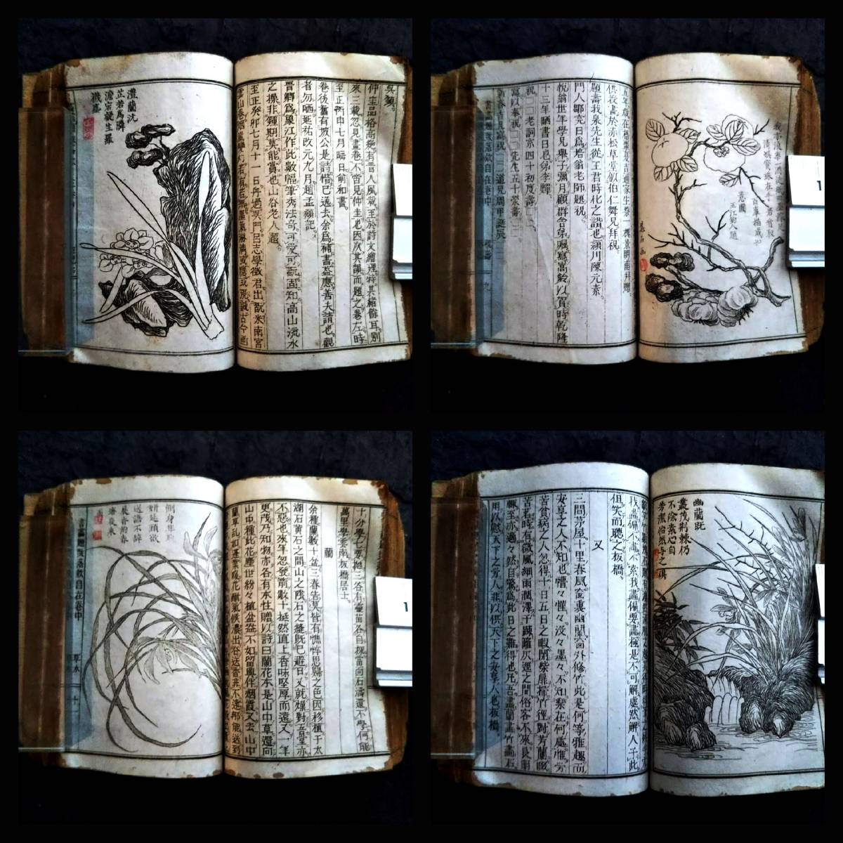 1880年 書画 題跋 落款 検索:清朝光緒 印譜 漢文 古籍 唐本 漢籍 1880年 書画 題跋 落款 検索:清朝光緒 印譜 漢文 古籍 唐本 漢籍