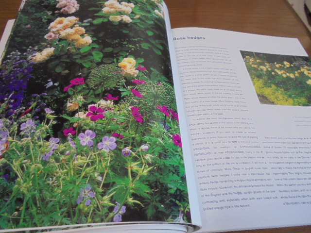  foreign book small garden. rose Roses for the Smaller Garden rose. illustration (rudo.-te) photograph rose garden photoalbum large book