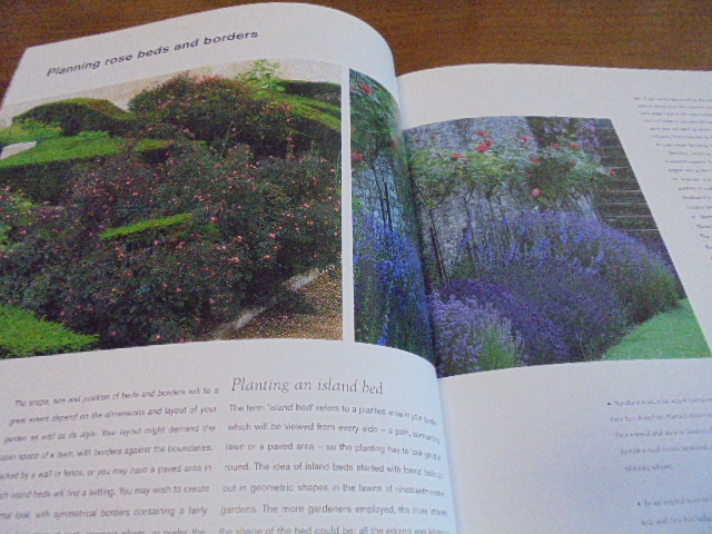  foreign book small garden. rose Roses for the Smaller Garden rose. illustration (rudo.-te) photograph rose garden photoalbum large book
