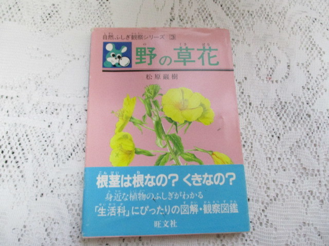 ☆野の草花　自然ふしぎ観察シリーズ　松原巌樹☆_画像1