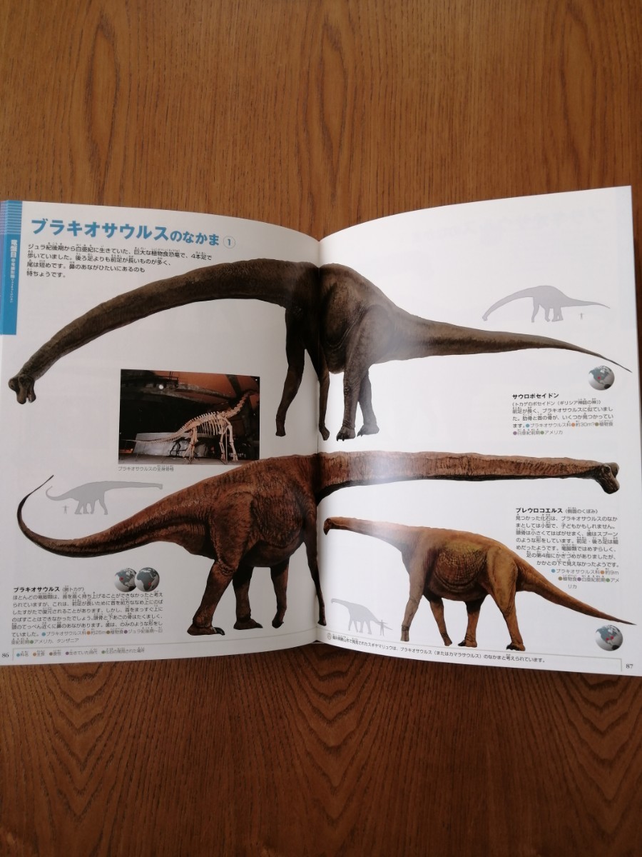 中古 恐竜  小学館の図鑑NEO