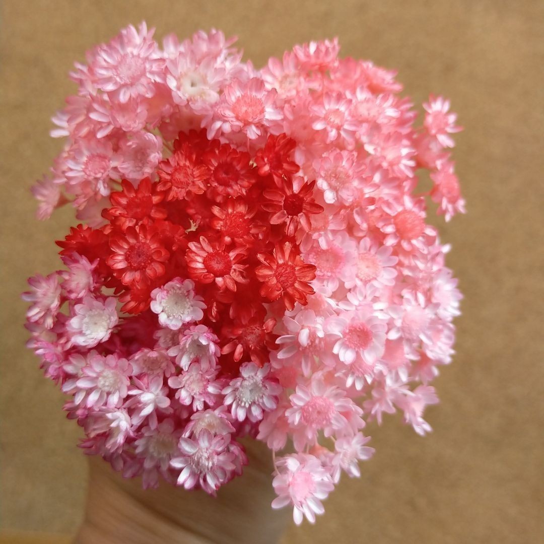 ハーバリウムボールペン　レジン アクセサリー 花材セット 気まぐれ素材　ピンク系
