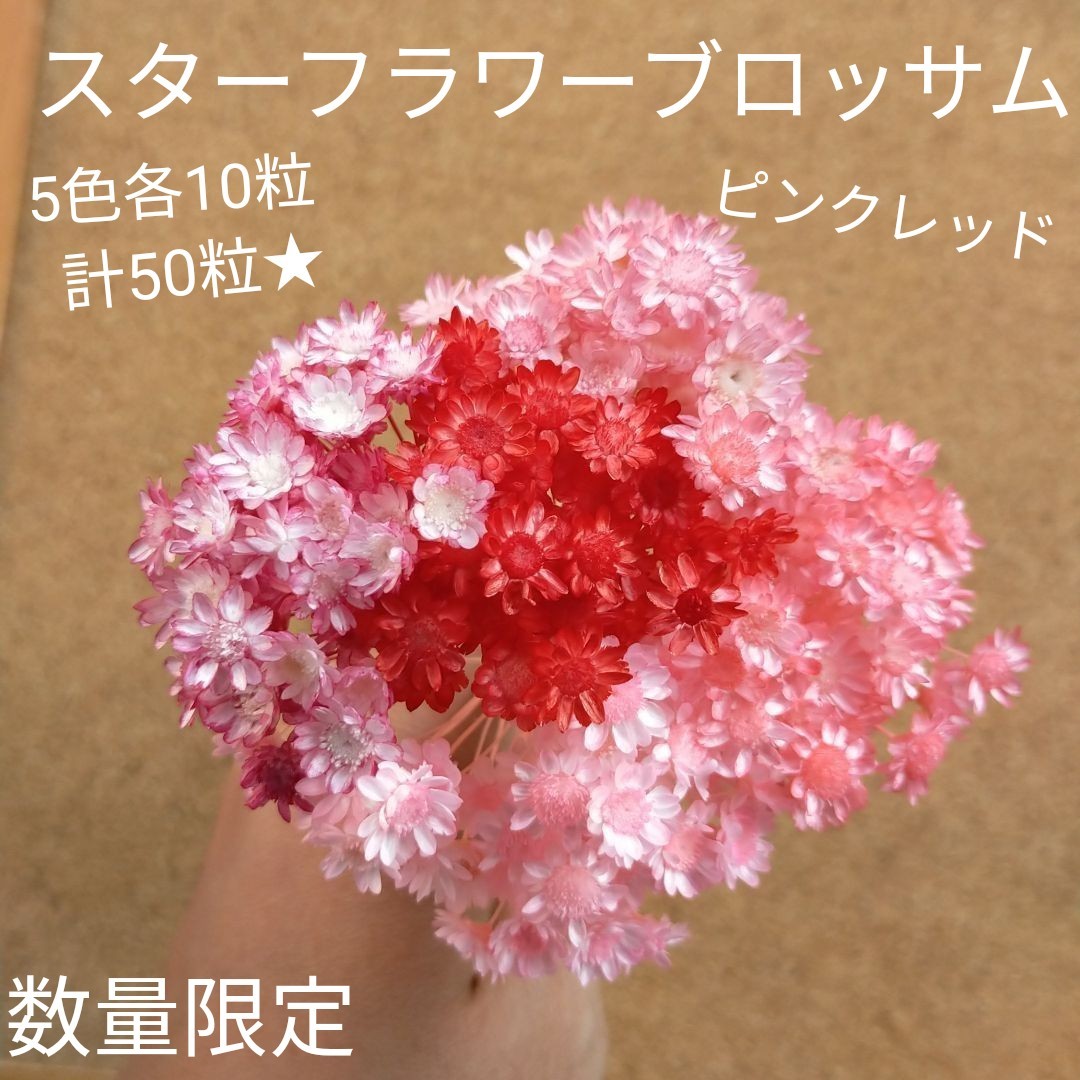 ハーバリウムボールペン　レジン アクセサリー 花材セット 気まぐれ素材　ピンク系