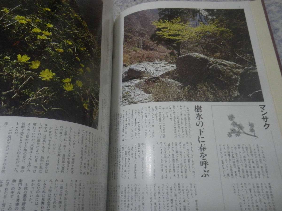 土佐の博物誌 高知新聞創刊75周年記念出版　高知県_画像3