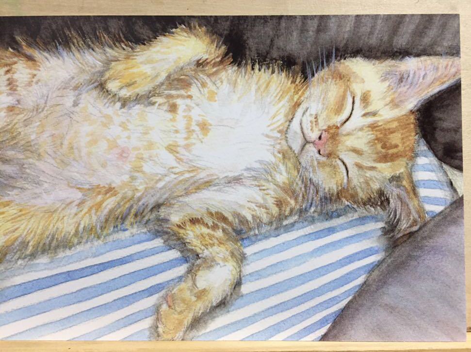 オリジナル 手描き ねこのこども2 イラスト ポストカード 子猫 水彩画 猫 茶トラ 複製 おトク情報がいっぱい イラスト