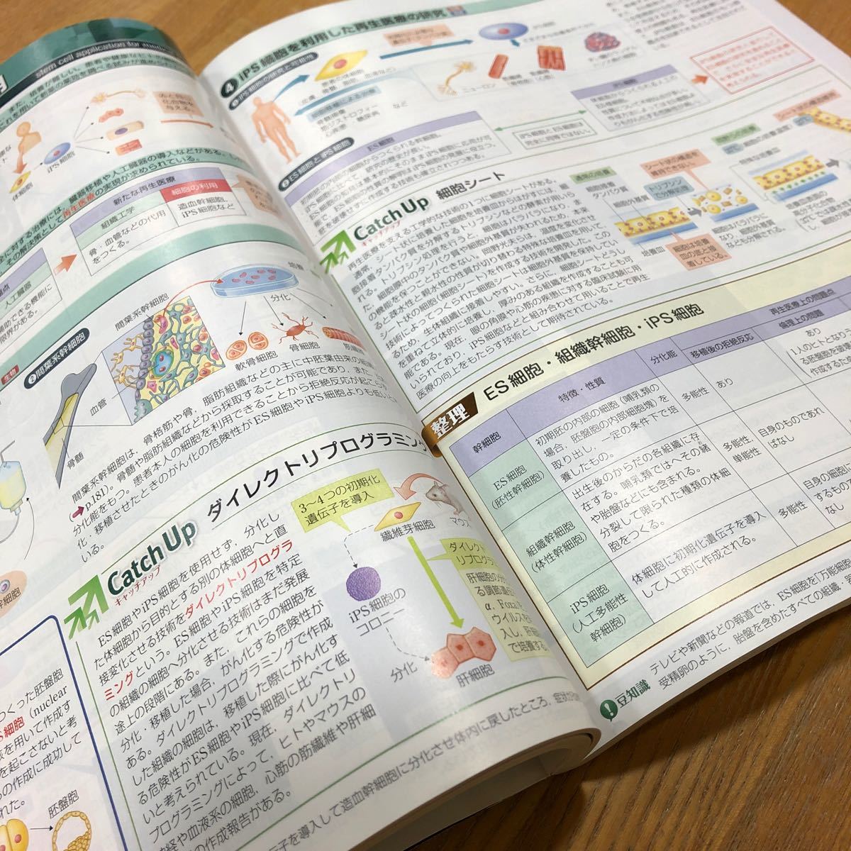 スクエア最新図説生物neo 9訂版/吉里勝利/阿形清和　高校生物　資料集　生物基礎　大学入試　大学受験　共通テスト対策