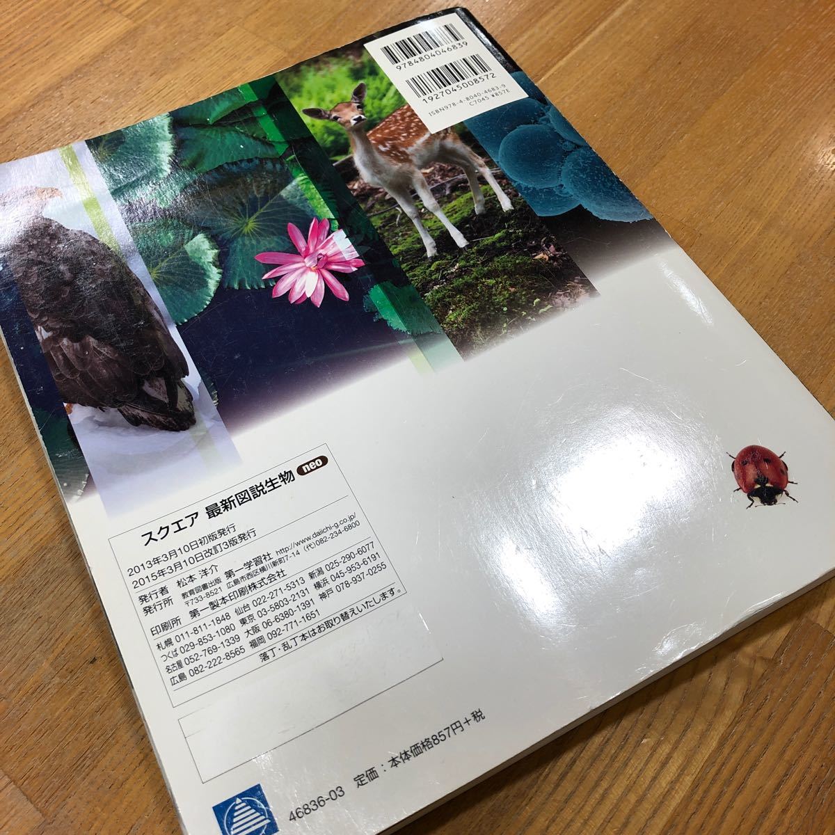 スクエア最新図説生物neo 9訂版/吉里勝利/阿形清和 高校生物 スクエア最新図説生物neo 9訂版/吉里勝利/阿形清和 高校生物