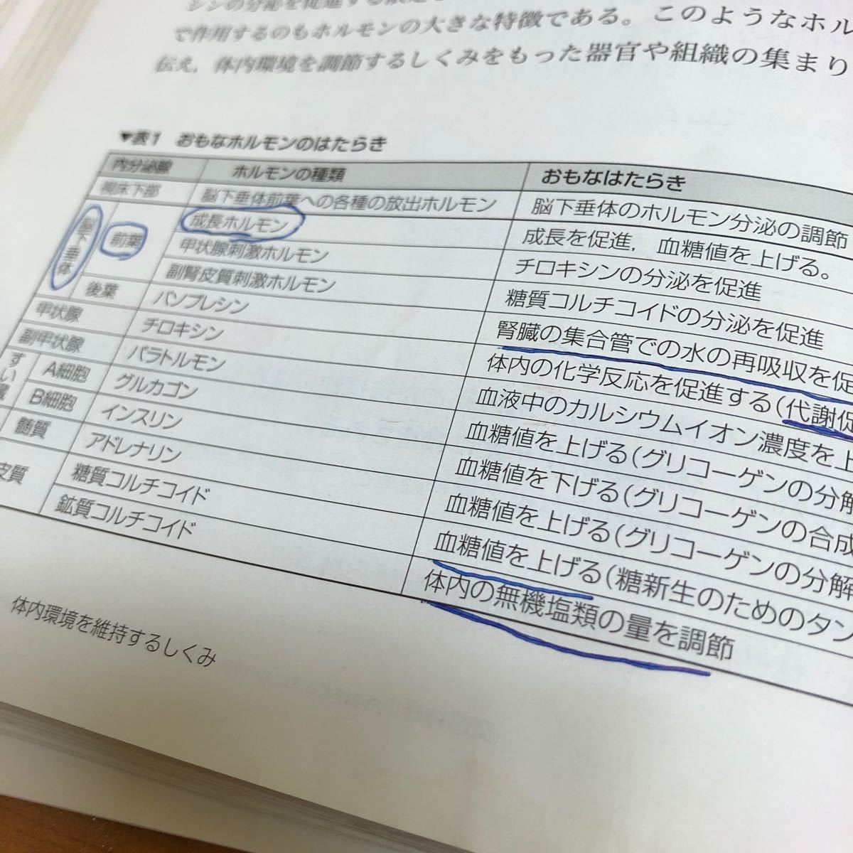 高校　生物基礎　東京書籍　改訂　大学受験　大学入試　共通テスト　高等学校理科用　文部科学省検定済教科書