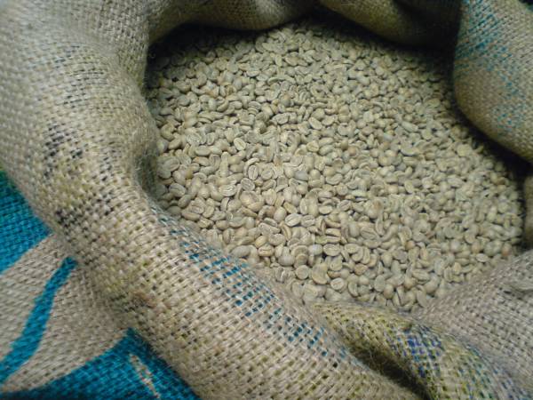 生豆 ペルーアルトアマゾン 1kg JAS認定有機栽培品 店主一押し 他銘柄もいろいろ有り　　　　　　　　　　　　　　　　　　　　_2週間に1度、70kg入荷しております。