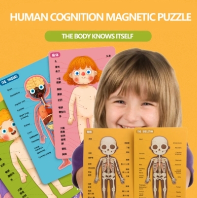 3d磁気ジグソーパズル,人体構造パズル,認知啓発,早期教育支援,学習玩具_画像2