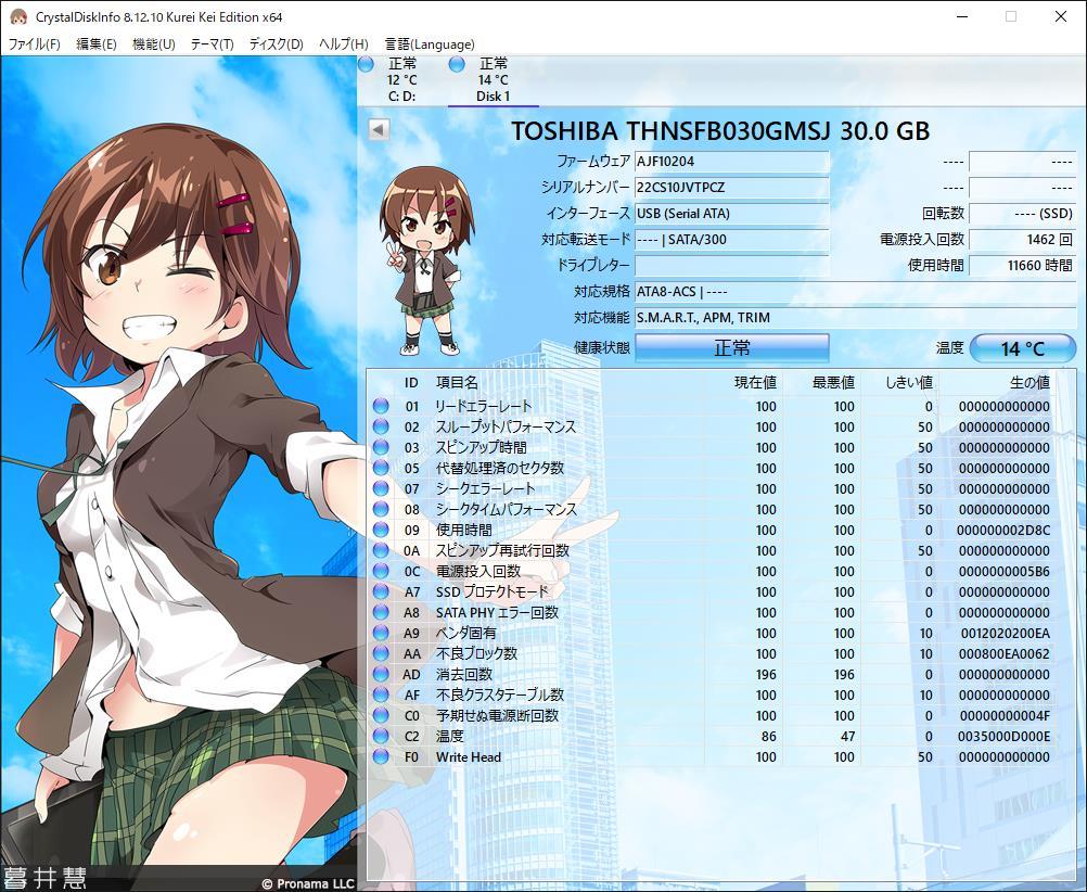 SSD　TOSHIBA　THNSFB030GMSJ　30GB　121908