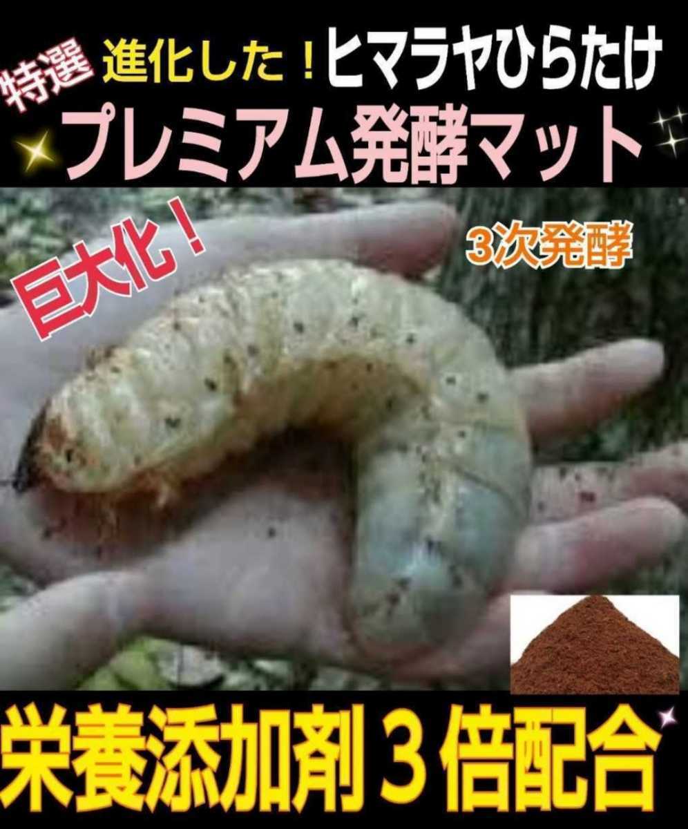 ケースとセット販売☆便利！カブト幼虫を入れるだけ！極上プレミアム発酵マット10リットル入り☆栄養添加剤3倍配合☆ビッグサイズ狙えます_画像5