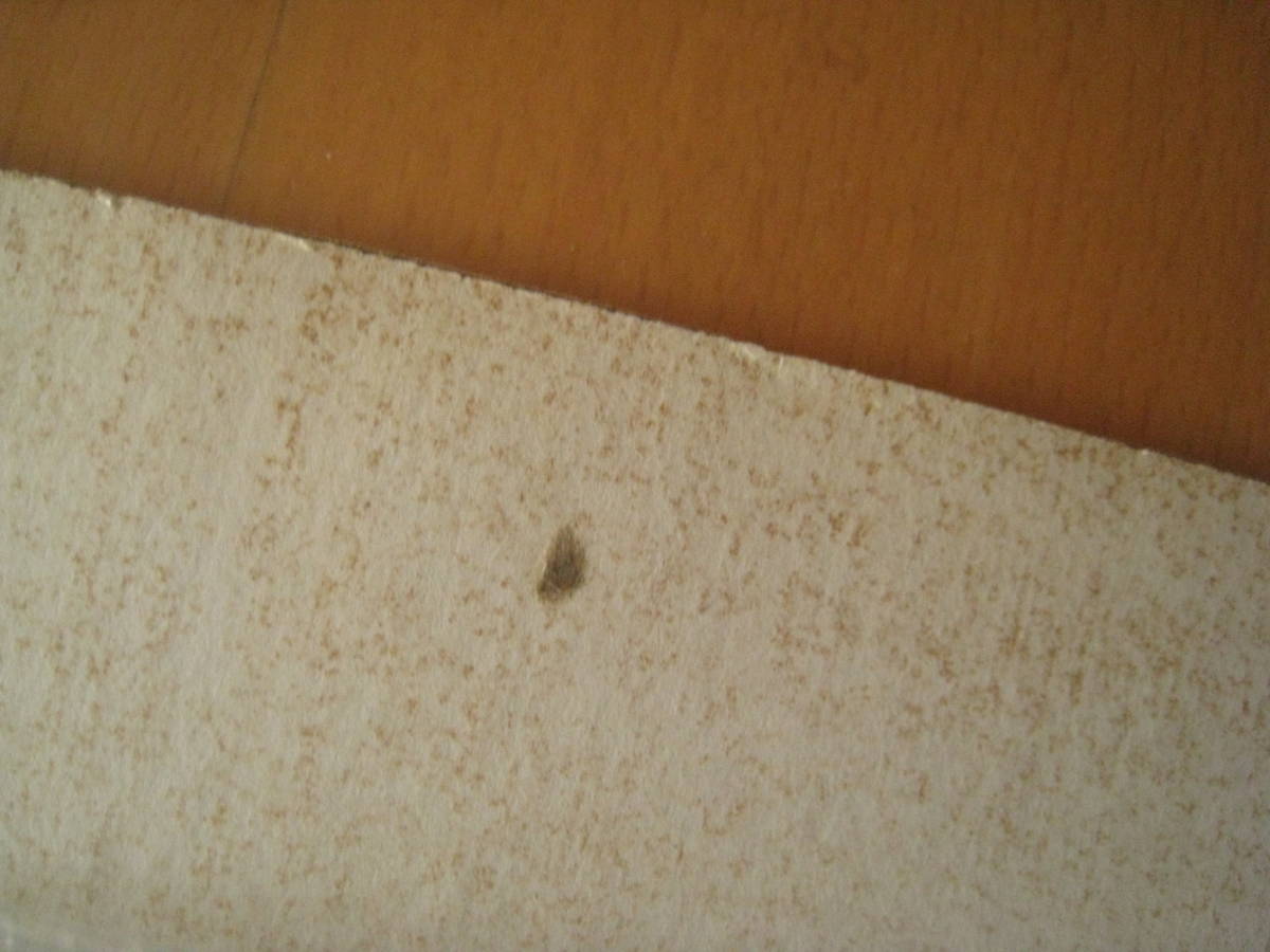 ジャックと豆の木/モリヒゲ・画房/森やすじ/美研のホーム紙芝居 ジャックと豆の木/モリヒゲ・画房/森やすじ/美研のホーム紙芝居