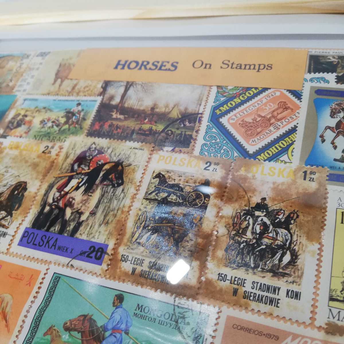 Vintage HORSES On Stamps 世界の馬の切手 額装品アート 32cm×23.5cm [壁掛け ビンテージ雑貨 海外土産物 モンゴル ブータン ポーランド]の画像7