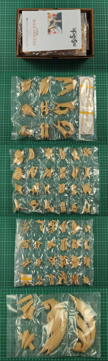 (EXP_022)1/100 オージェ アルスキュル 未組立 ガレージキット 2