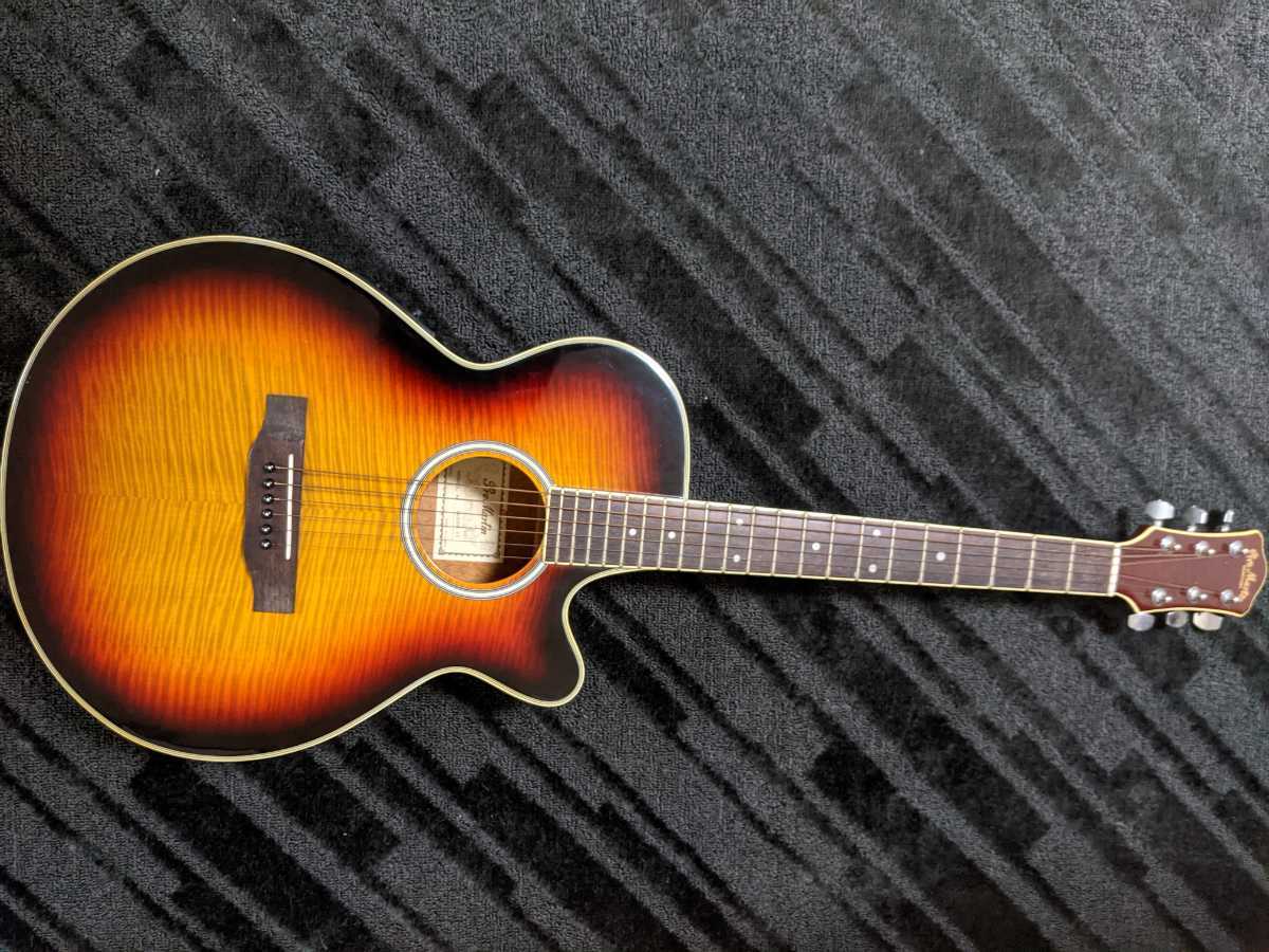 Yahoo!オークション - ◎良音 Pro Martin CUSTOM EA500W Yahoo!オークション - ◎良音 Pro Martin CUSTOM EA500W