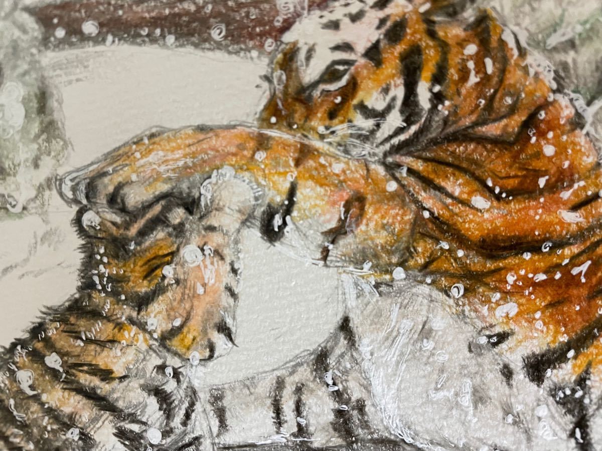 色鉛筆画 ポストカード トラ とら 虎 寅 トラ親子 雪 干支 色鉛筆画 ポストカード トラ とら 虎 寅 トラ親子 雪 干支
