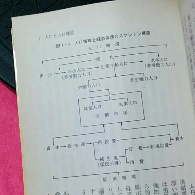 開運招福!★ねこまんま堂★B12★まとめ発送可★ 人口問題の知識_画像3