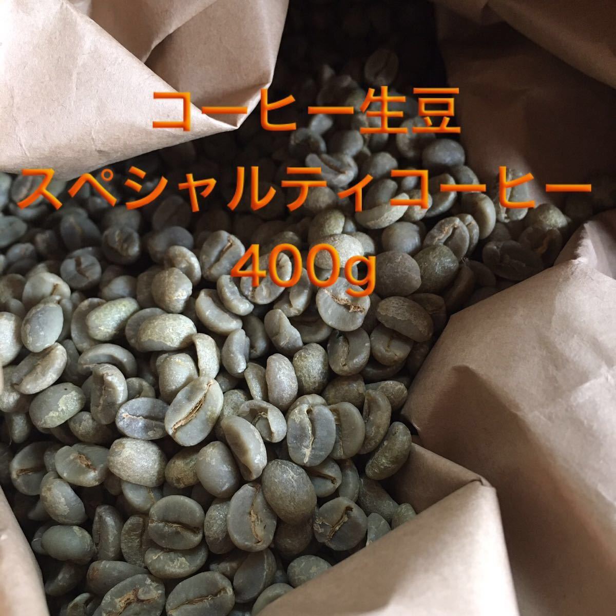 コーヒー生豆　自家焙煎用　