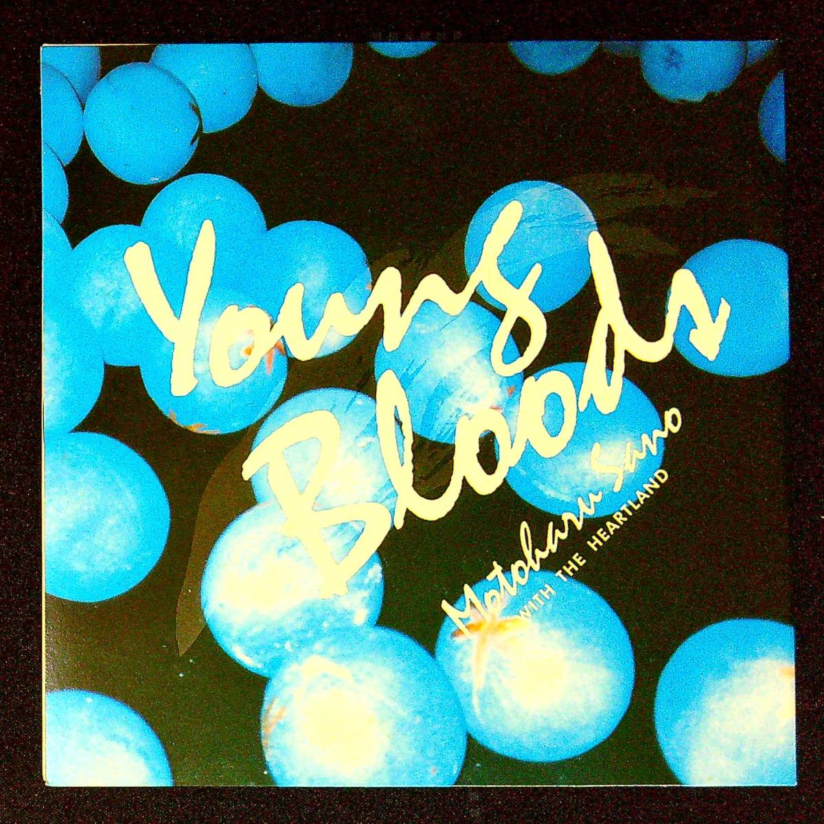 ◆中古EP盤◆佐野元春◆Young Bloods◆27◆_画像2