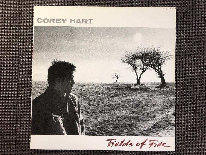 コリー・ハート Corey Hart 1986年 LPレコード フィールズ・オブ・ファイア Fields Of Fire 国内盤 好きにならずにいられない_画像1