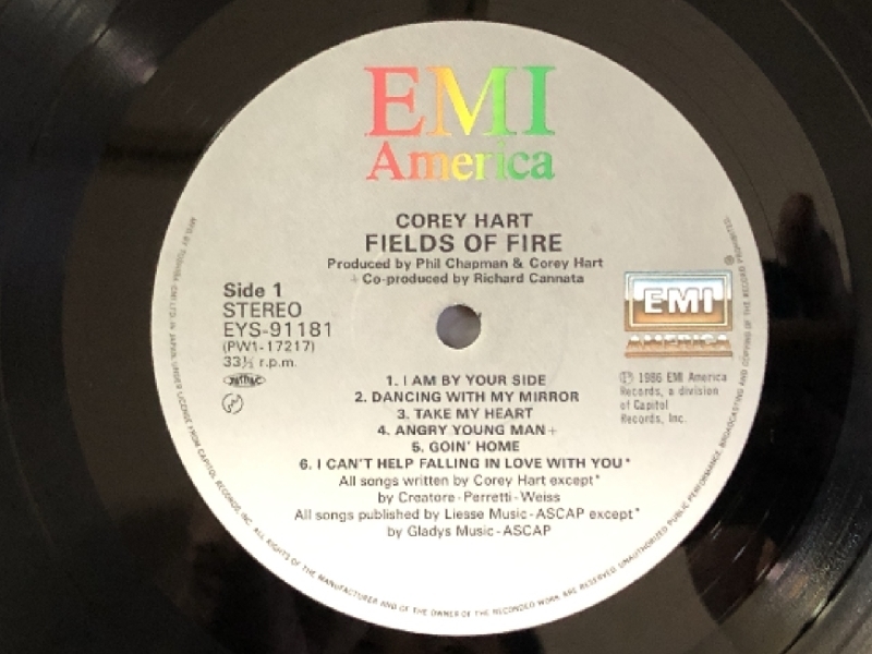 コリー・ハート Corey Hart 1986年 LPレコード フィールズ・オブ・ファイア Fields Of Fire 国内盤 好きにならずにいられない_画像8