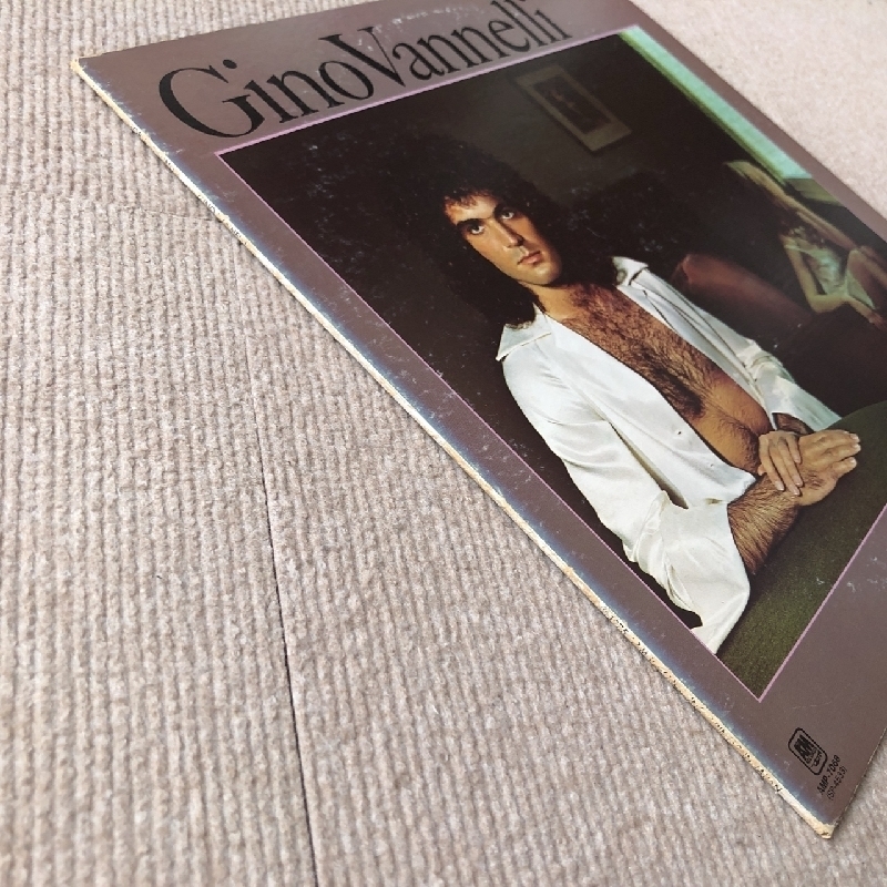 美盤 ジノ・ヴァネリ Gino Vannelli 1979年 LPレコード 夜明けの嵐 Storm At Sunup 国内盤 AOR Ross Vannelli Sally Stevens_画像4