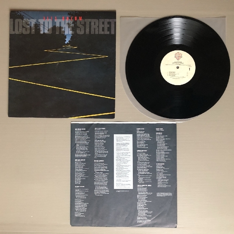 アレックス・ローザム Alex Rozum 1988年 LPレコード ロスト・トゥ・ザ・ストリート Lost To The Street 米国盤 Rock_画像4