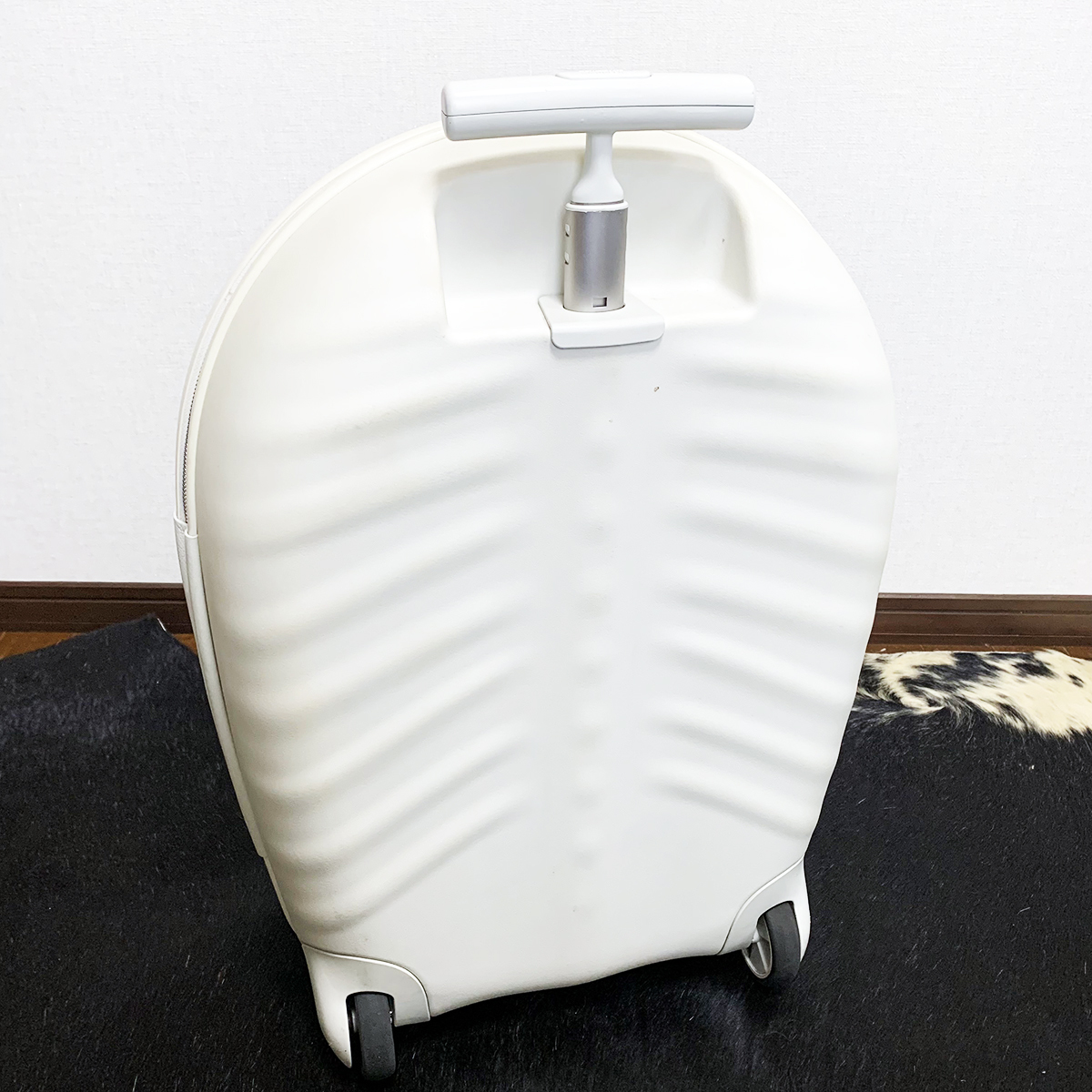 samsonite BlackLabel × AlexanderMcQueen ボーンスーツケース samsonite BlackLabel × AlexanderMcQueen ボーンスーツケース