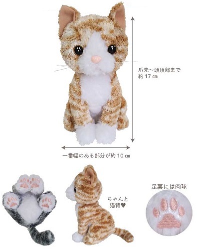  new goods * soft toy * premium Kitty * tea tiger * cat miscellaneous goods 