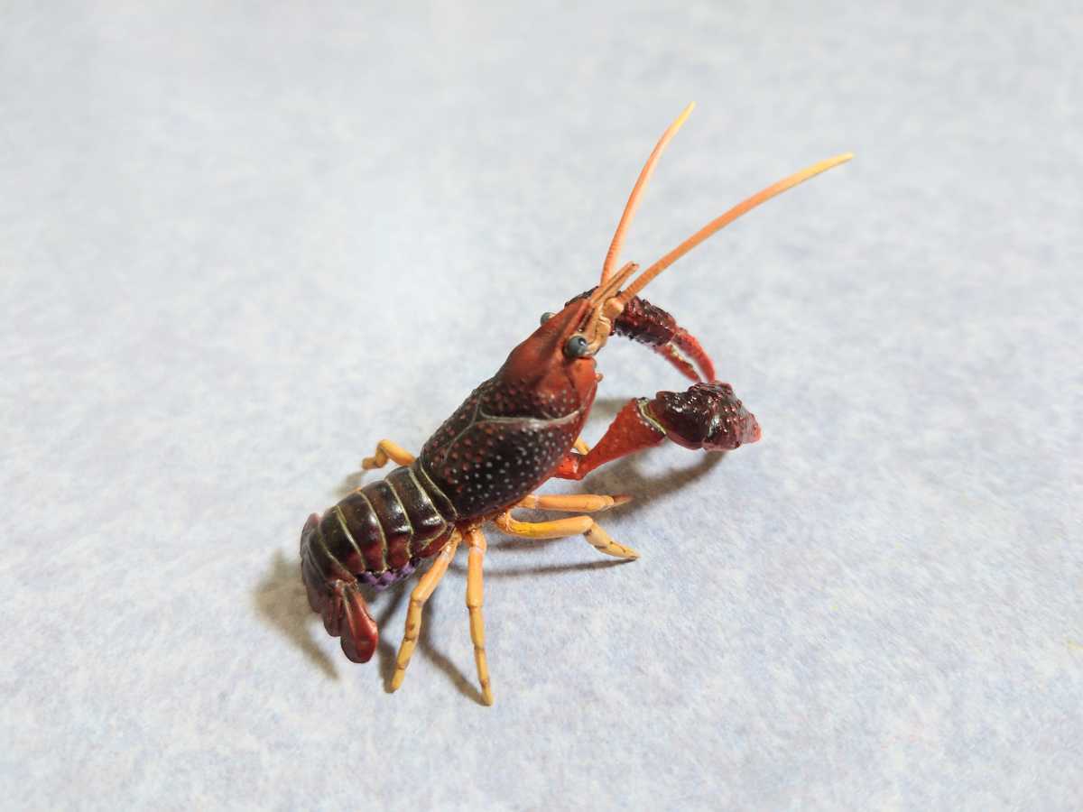 Yujin ユージン 原色甲殻類エビ カニ図鑑 Box限定 アメリカザリガニ 抱卵 甲殻類 動物 生物 フィギュア 生き物 売買されたオークション情報 Yahooの商品情報をアーカイブ公開 オークファン Aucfan Com Yujin ユージン 原色甲殻類エビ カニ図鑑 Box限定 アメリカザリガニ 抱卵 甲殻類 動物 生物 フィギュア 生き物 売買されたオークション情報 Yahooの商品情報をアーカイブ公開 オークファン Aucfan Com