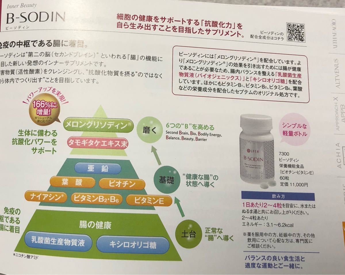 抗酸化=抗老化 SPTMセプテム ビーソディン60粒 10箱 - その他