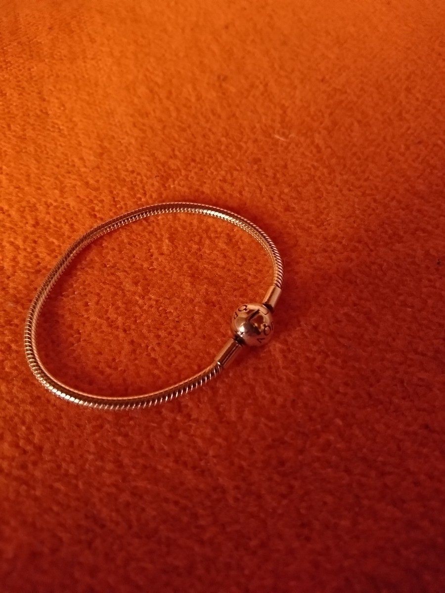 PANDORA パンドラ モーメンツスネークチェーンブレスレット チャーム1