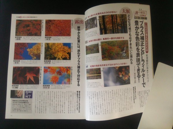 Ba1 12401 four season. photograph 2001 year 10/11 month number *2002 year 10/11 day number 2 pcs. set all weather . correspondence . leaf scenery. ... autumn ..& standard scenery thorough .. guide other 