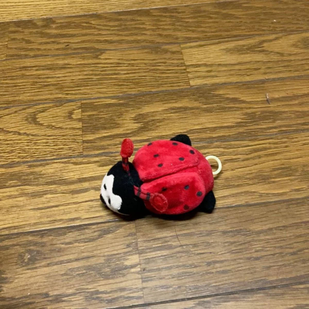 てんとう虫 ぬいぐるみ