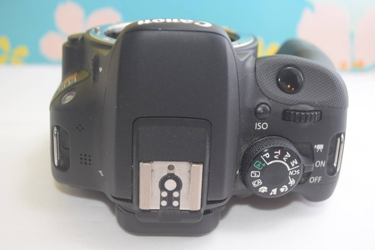 極美品❤️Canon EOS kiss X7❤️高画質❤️動画撮影❤️すぐ使える