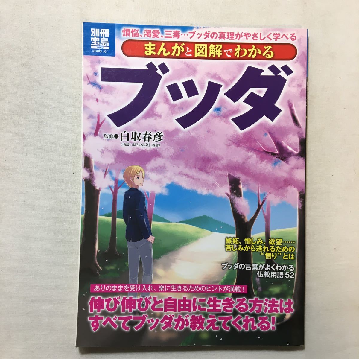 zaa-283♪ まんがと図解でわかるブッダ (別冊宝島 1960 スタディー) 大型本 2013/2/12 白取 春彦 (監修)