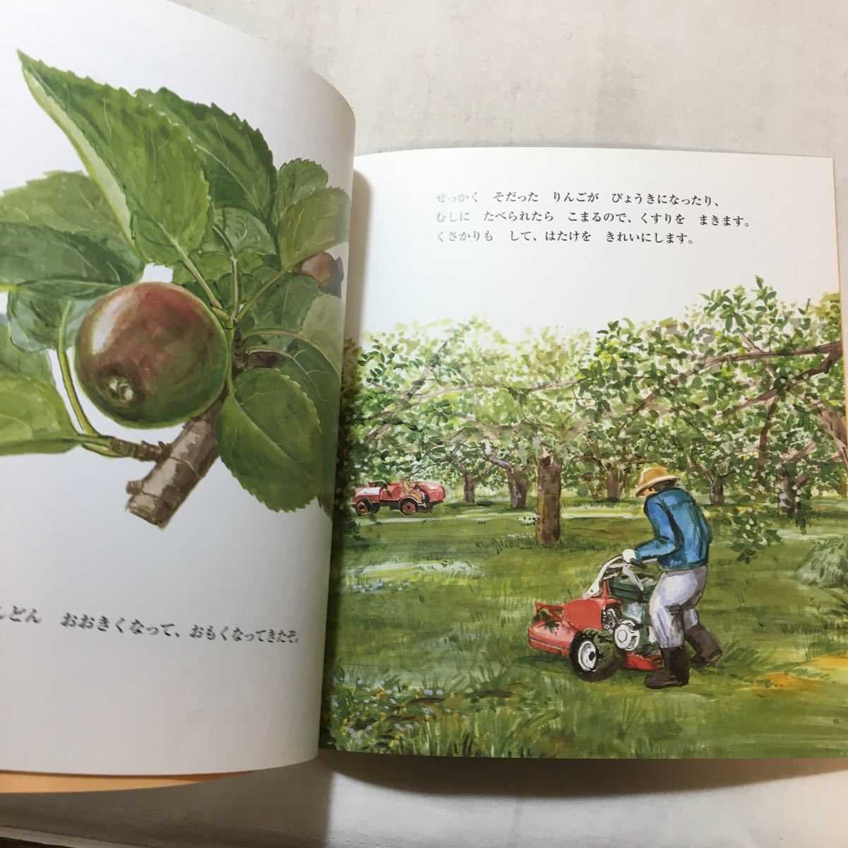zaa-m1bk おじいちゃんのりんご 中島 睦子 作1998年11月号+かき zaa-m1bk おじいちゃんのりんご 中島 睦子 作1998年11月号+かき