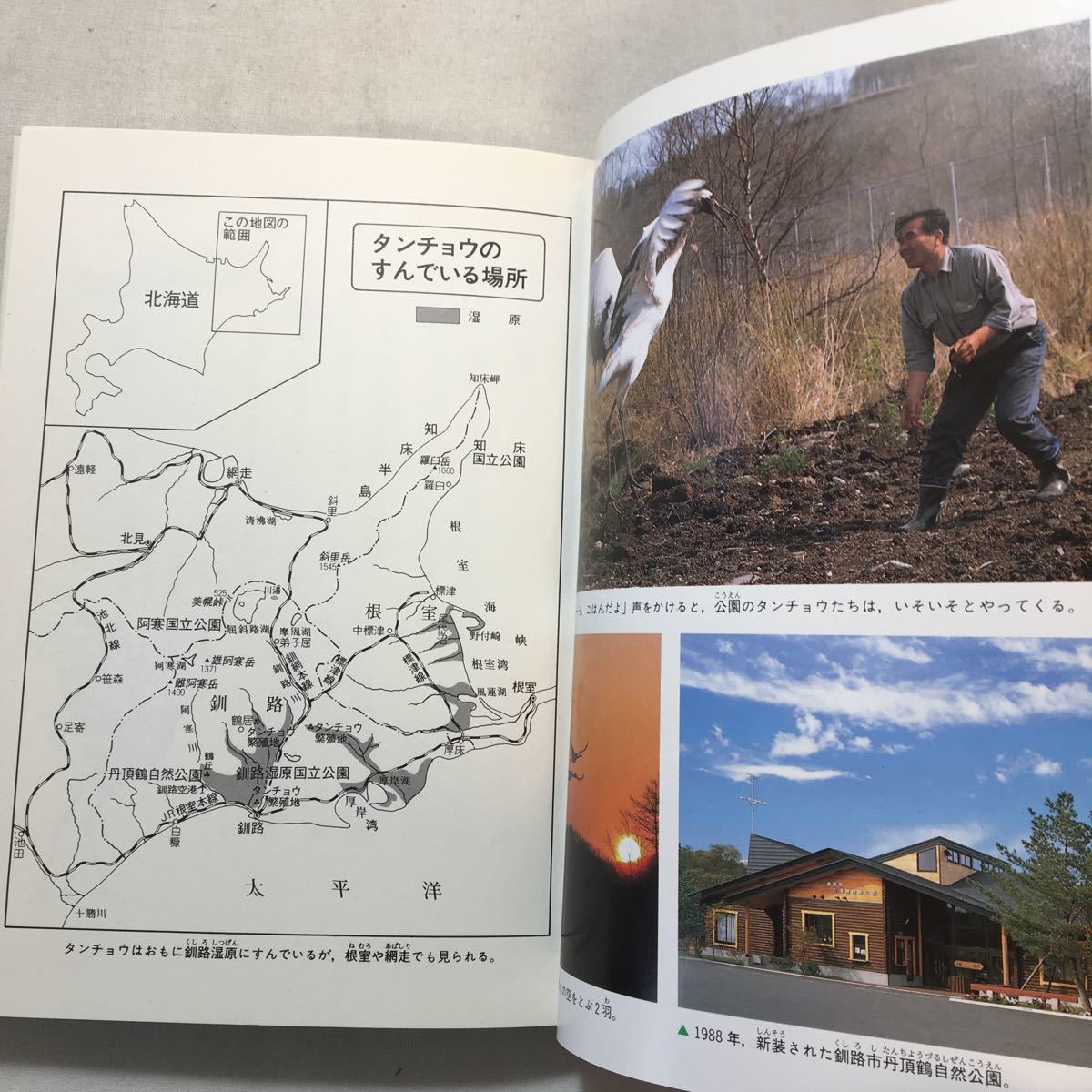 zaa-287 鶴になったおじさん (わたしのノンフィクション) 単行本 zaa-287 鶴になったおじさん (わたしのノンフィクション) 単行本