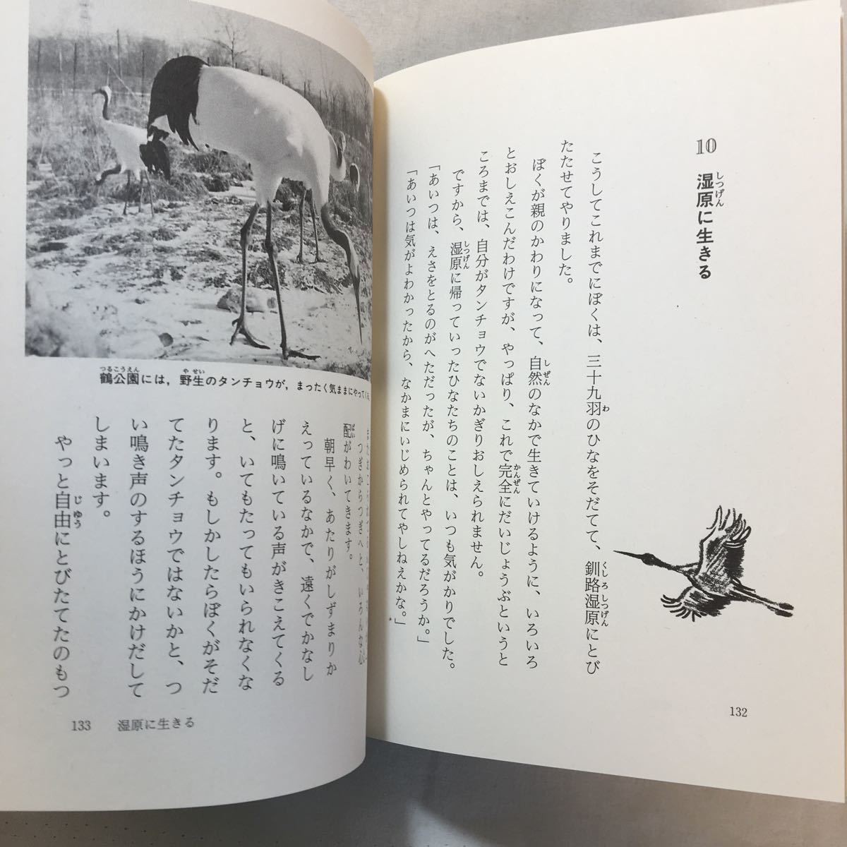 zaa-287 鶴になったおじさん (わたしのノンフィクション) 単行本 zaa-287 鶴になったおじさん (わたしのノンフィクション) 単行本