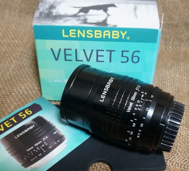 お歳暮 新品 LENSBABY ソニーEマウント レンズベビー ベルベット56 56