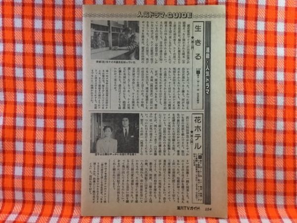 CN21276◆切抜き◇山本陽子名高達郎小川真由美岡田英次山口果林勝部演之◇花ホテル・第8回・生きる・第2回・爛熟時代_画像1